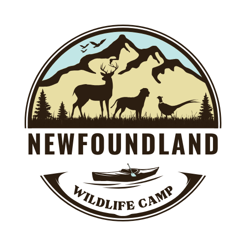 Newfoundland Wildlife Camp